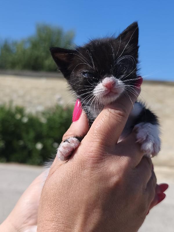 May, la piccolissima Foto 6